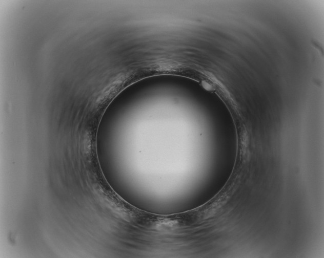 X0000103310257200809051551