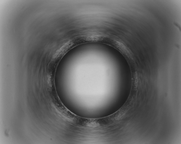 X0000103310258200809051551