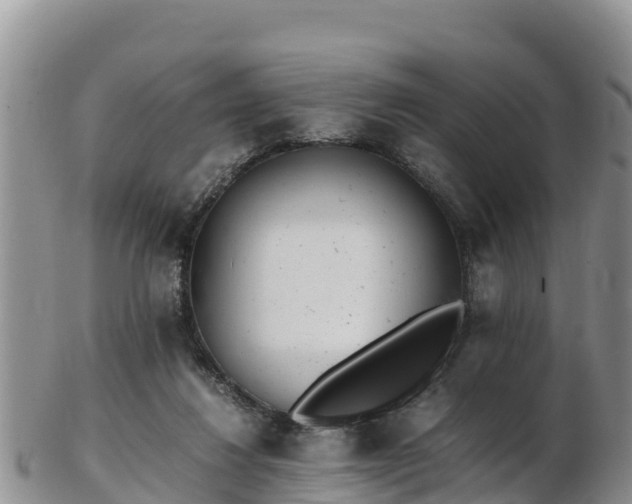 X0000103310260200809051551