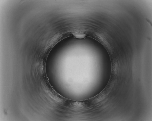 X0000103310261200809051551