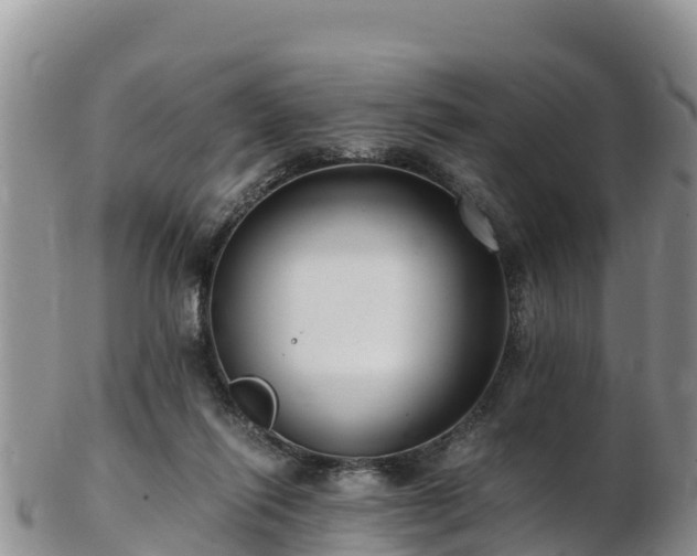 X0000103310262200809051551