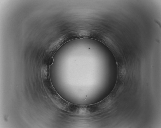 X0000103310264200809051551