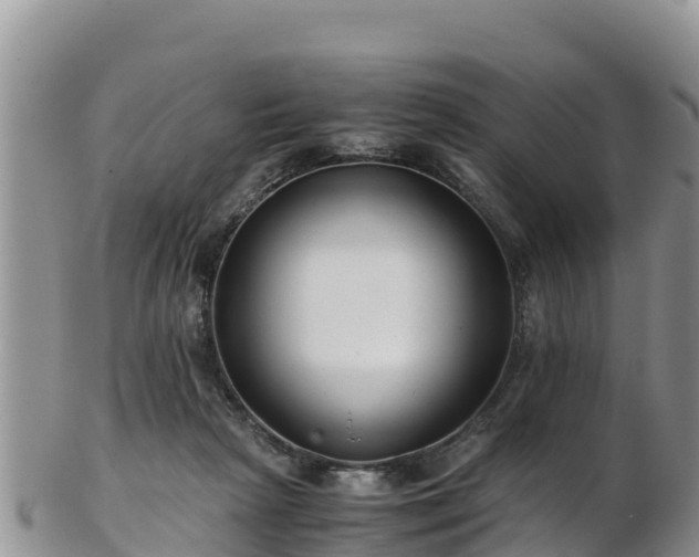 X0000103310265200809051551
