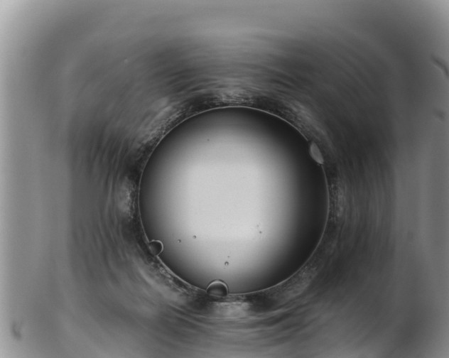 X0000103310266200809051551