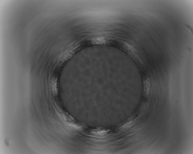 X0000103310267200809051551