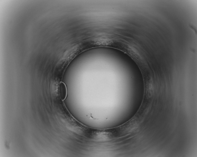 X0000103310268200809051551