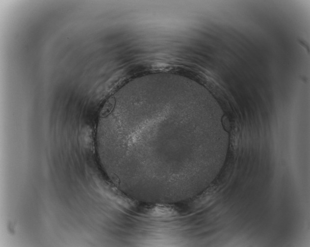 X0000103310270200809051551