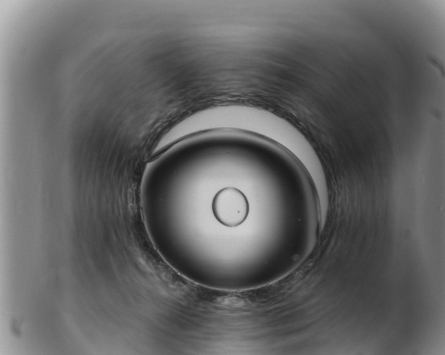 X0000103310272200809051551