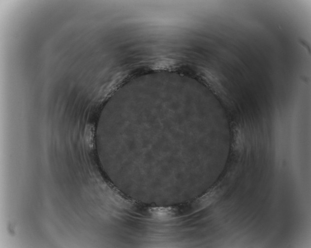 X0000103310273200809051551