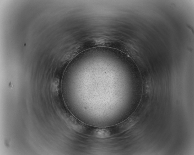 X0000103310275200809051551
