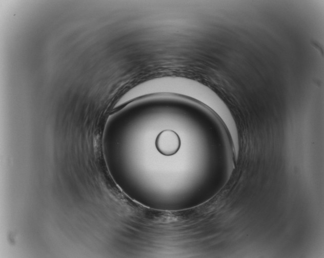 X0000103310276200809051551