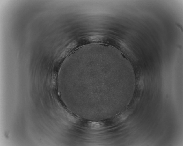 X0000103310277200809051551