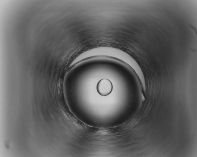 X0000103310280200809051551