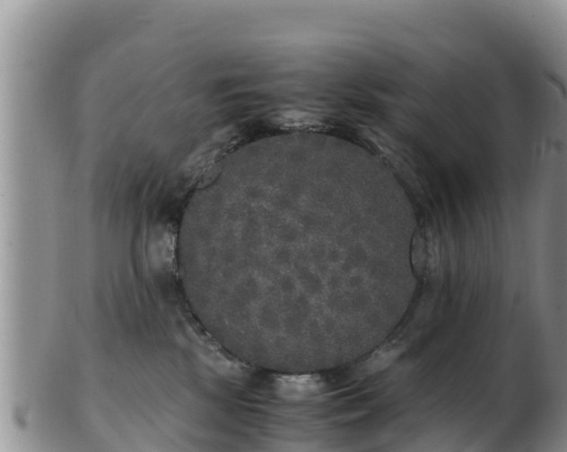 X0000103310281200809051551
