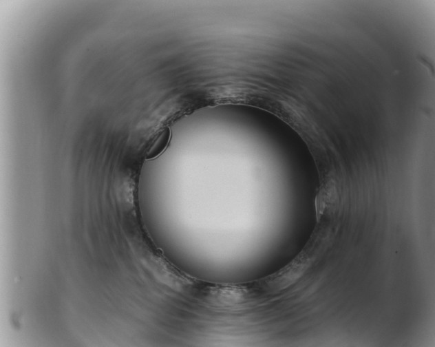 X0000103310282200809051551