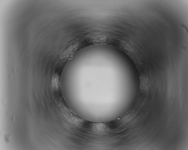X0000103310287200809051551