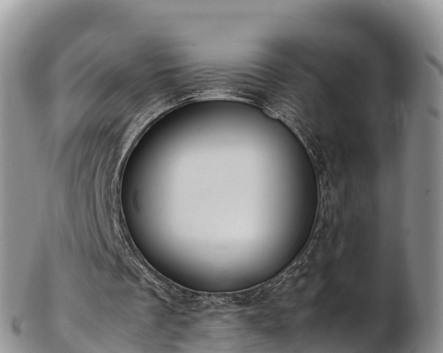 X0000103310289200809051551