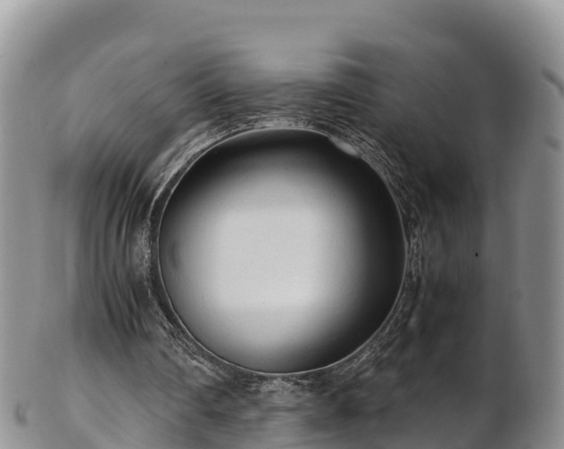 X0000103310290200809051551