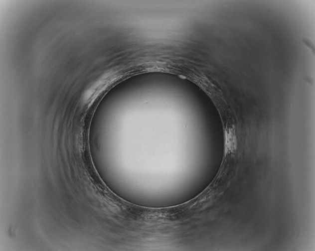 X0000103310291200809051551