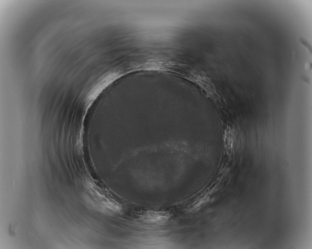X0000103310292200809051551