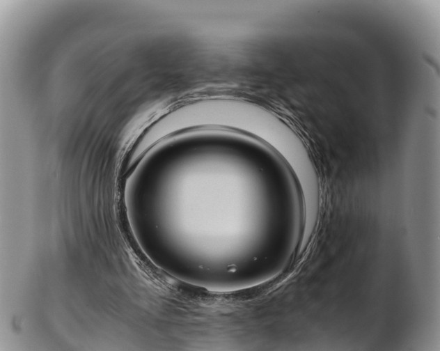 X0000103310293200809051551