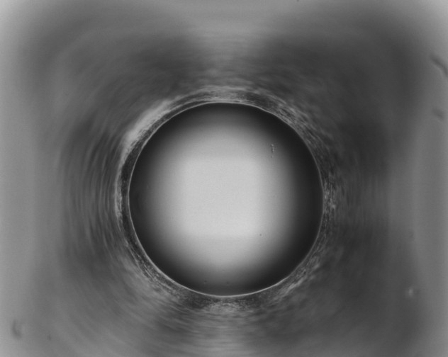 X0000103310294200809051551