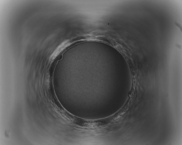 X0000103310295200809051551