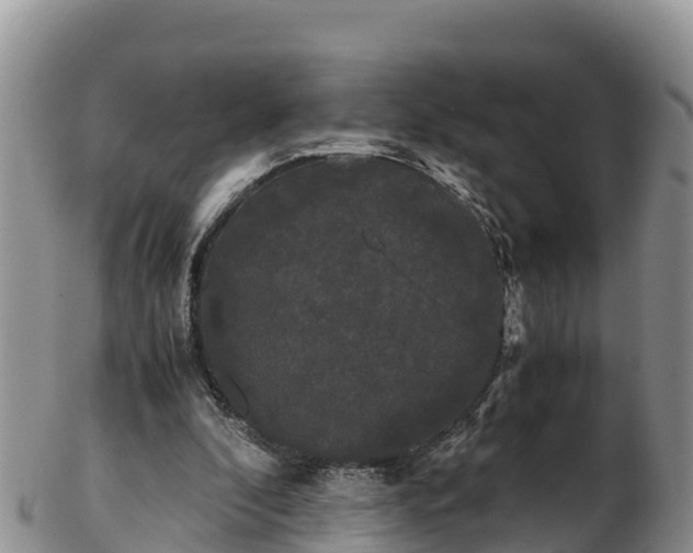 X0000103310296200809051551
