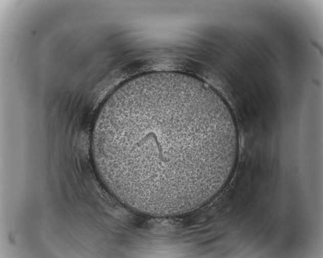 X0000103310297200809051551