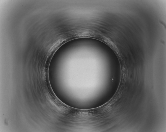 X0000103310298200809051551