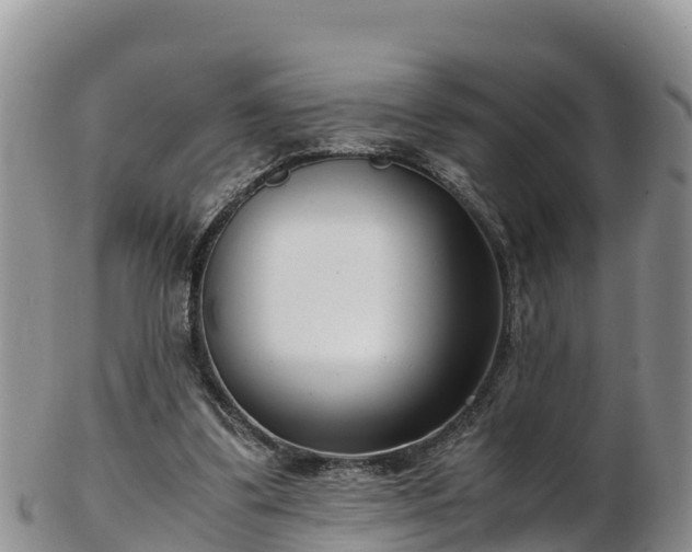 X0000103310299200809051551