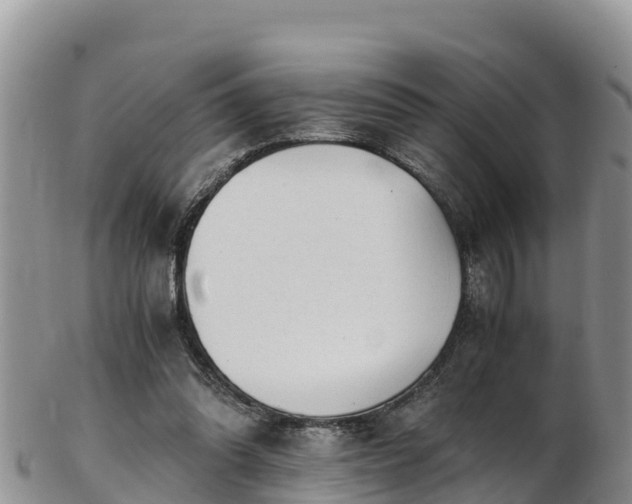 X0000103310302200809051551