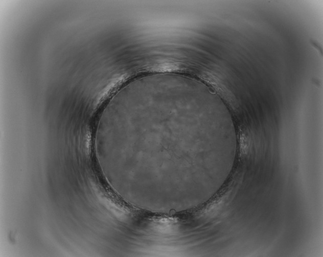 X0000103310304200809051551