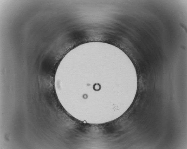 X0000103310305200809051551