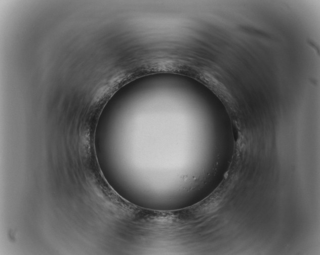 X0000103310306200809051551