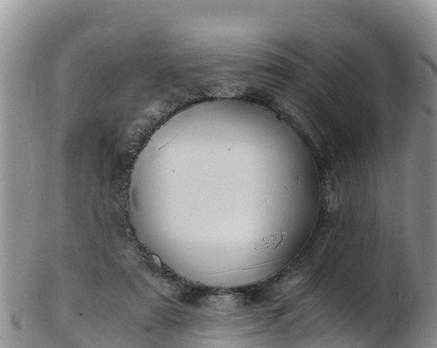 X0000103310307200809051551