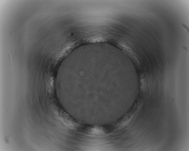 X0000103310308200809051551