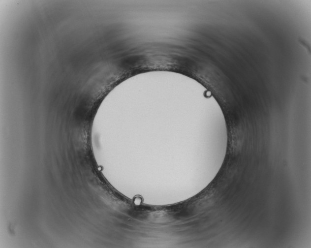 X0000103310309200809051551