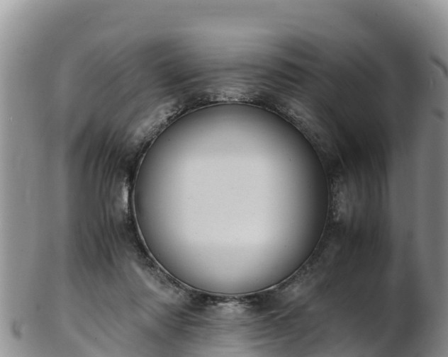 X0000103310310200809051550
