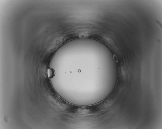 X0000103310311200809051550