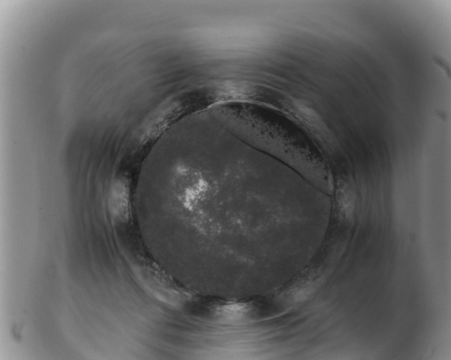 X0000103310312200809051550