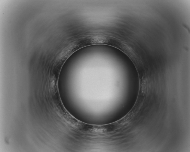 X0000103310314200809051550