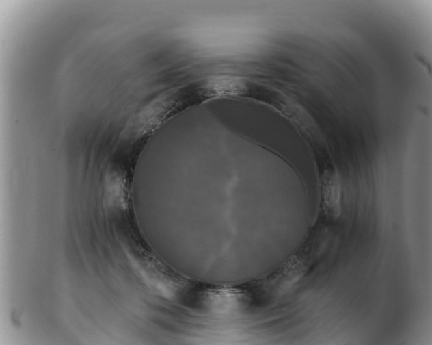 X0000103310316200809051550