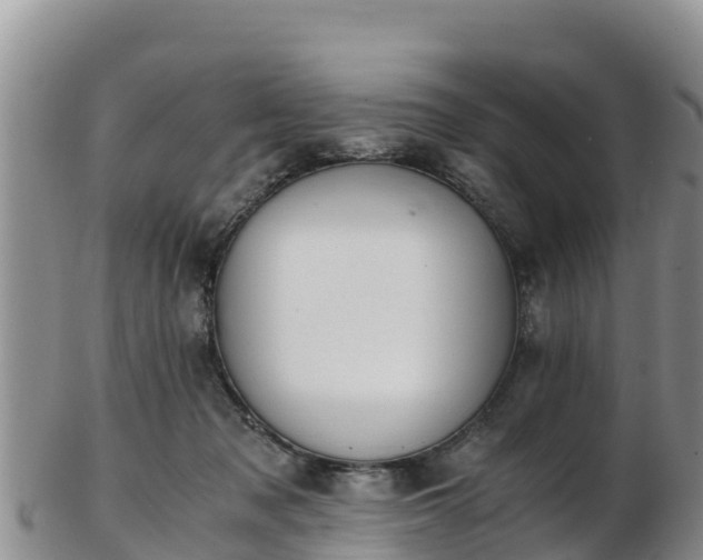 X0000103310317200809051550