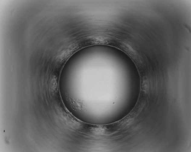 X0000103310318200809051550