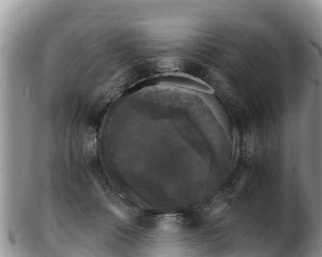 X0000103310320200809051550