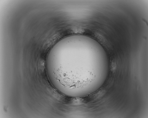 X0000103310321200809051550