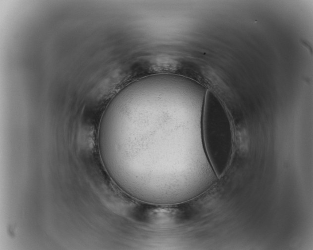 X0000103310323200809051550