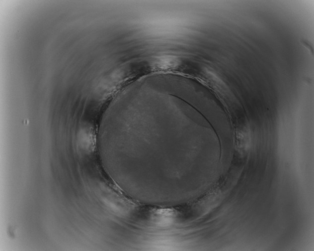 X0000103310324200809051550