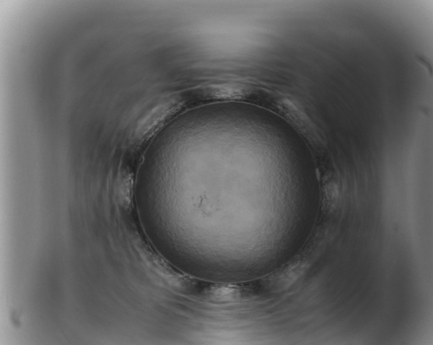 X0000103310325200809051550